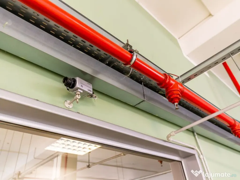 Hală producție în localitatea Sântana 