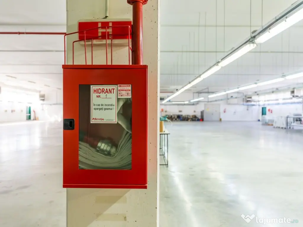 Hală producție în localitatea Sântana 