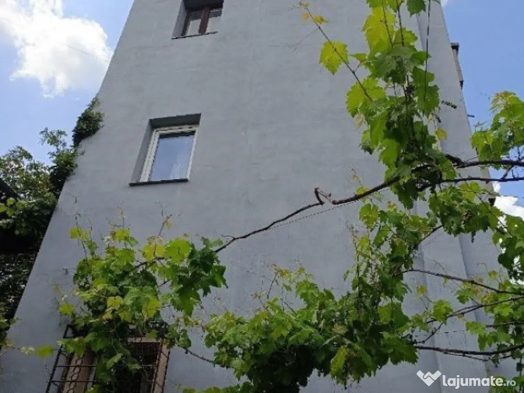 Dacia-Toamnei singur in curte 