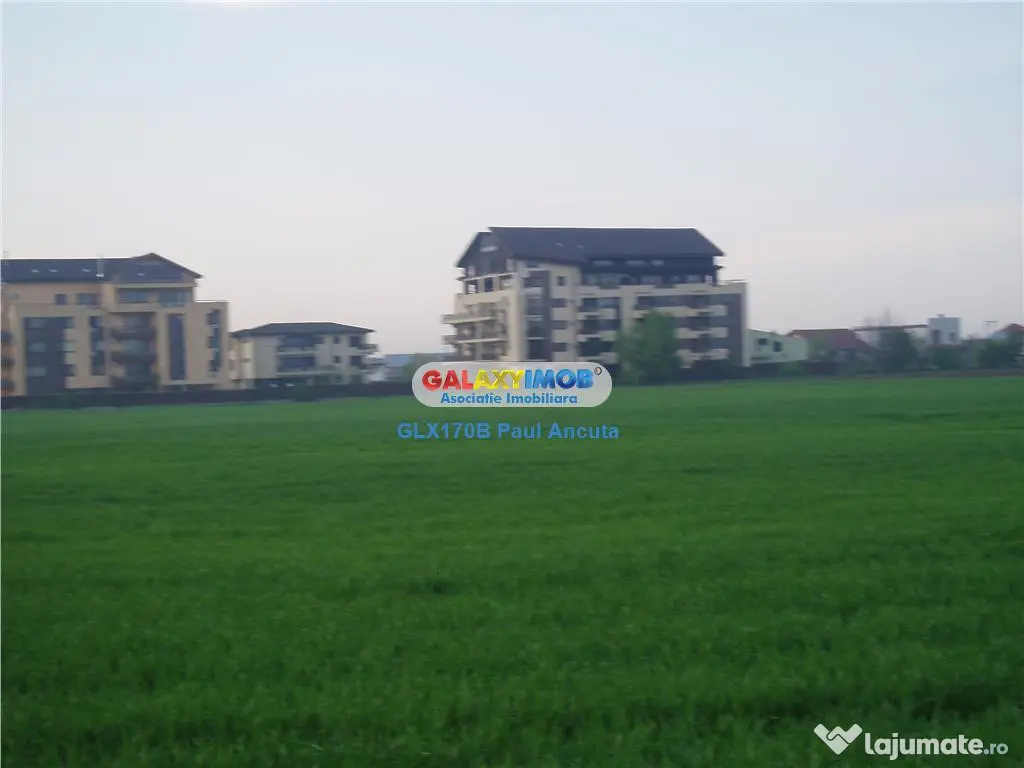 Teren Corbeanca 35000 mp la sosea utilitati apropiere Padure