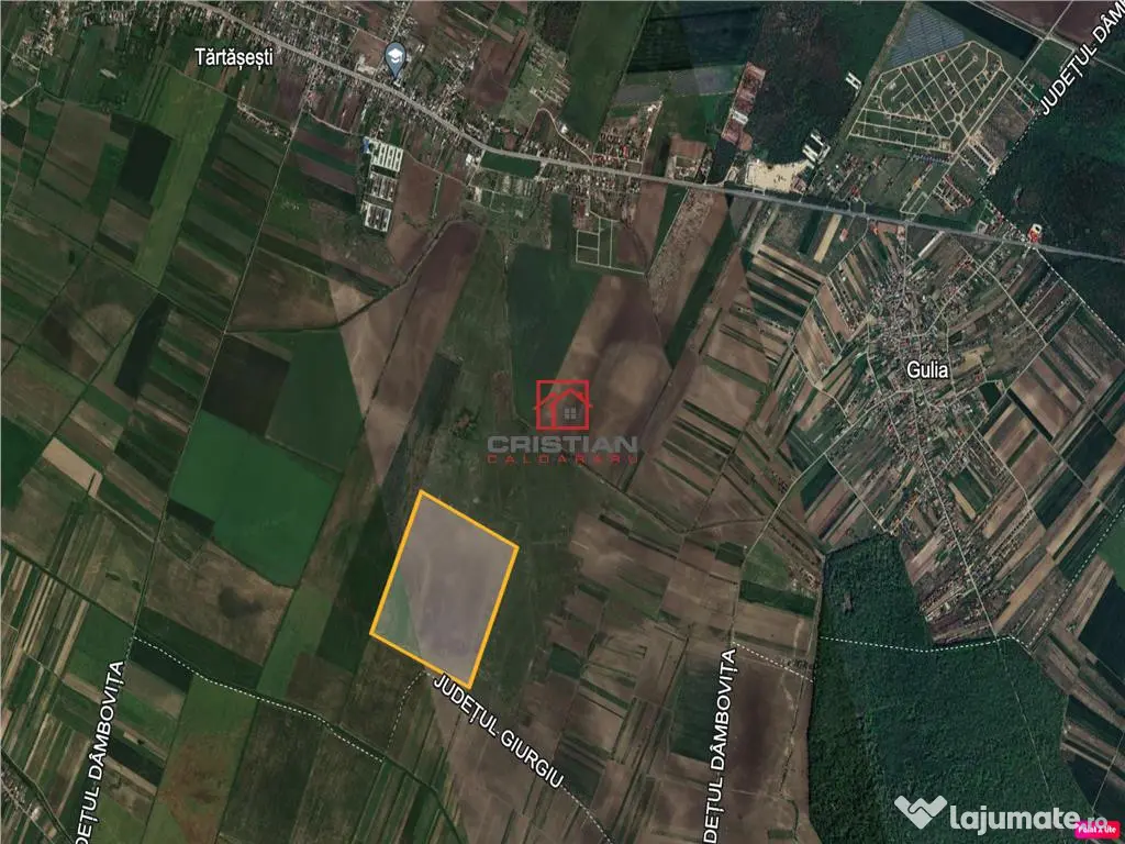 Teren agricol Tartasesti - Gulia, Dambovita