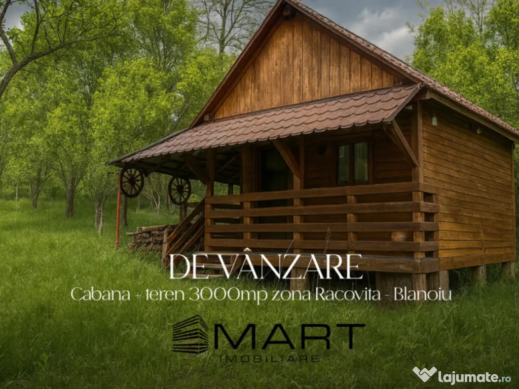 Teren intravilan 3102mp zona Racovita-Blanoiu