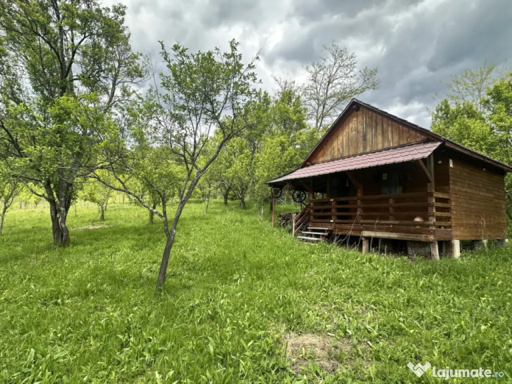 Teren intravilan 3102mp zona Racovita-Blanoiu