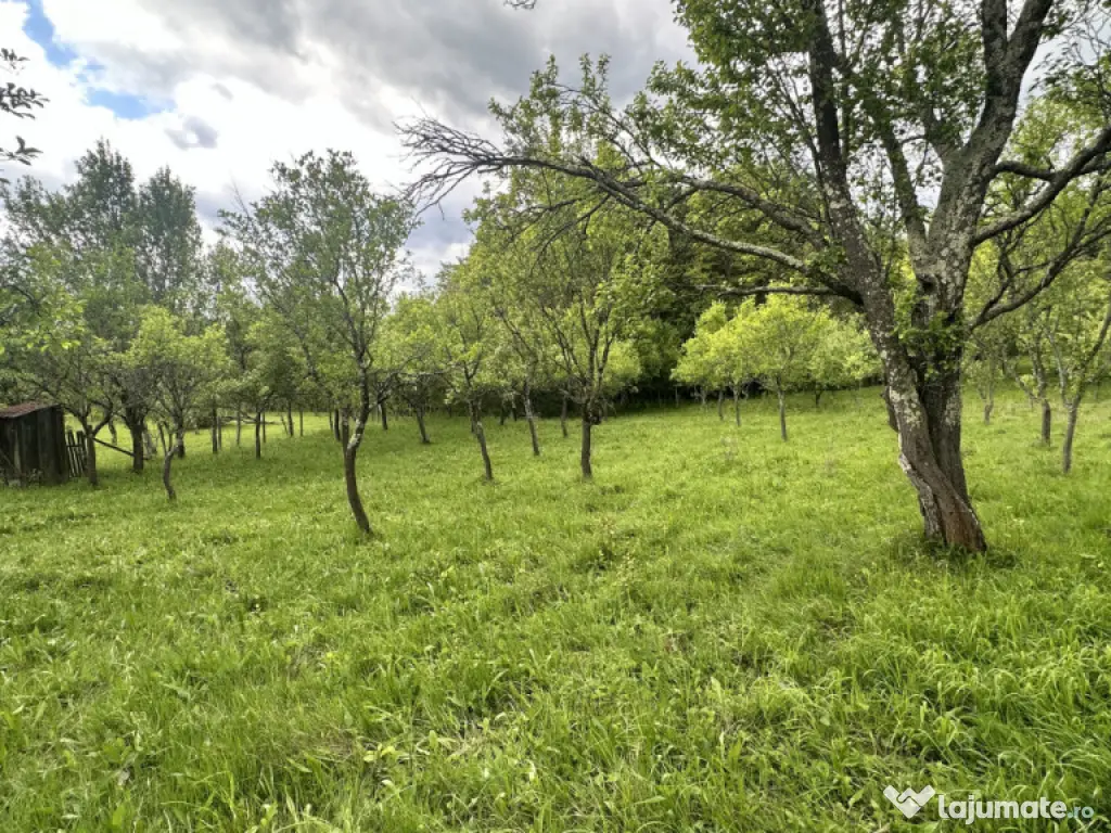 Teren intravilan 3102mp zona Racovita-Blanoiu