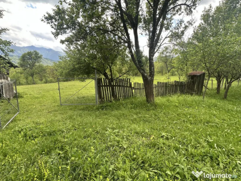 Teren intravilan 3102mp zona Racovita-Blanoiu