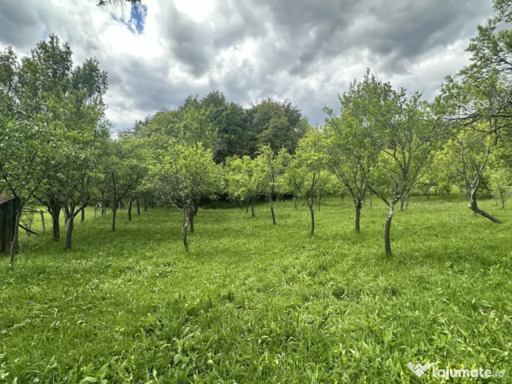 Teren intravilan 3102mp zona Racovita-Blanoiu