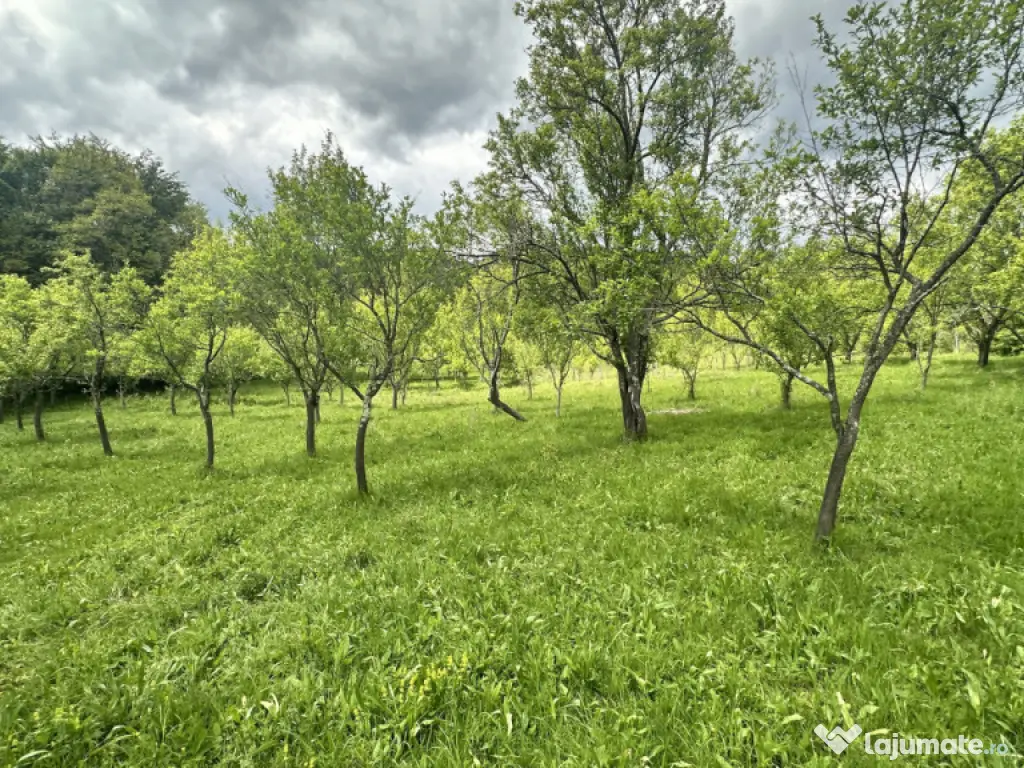 Teren intravilan 3102mp zona Racovita-Blanoiu