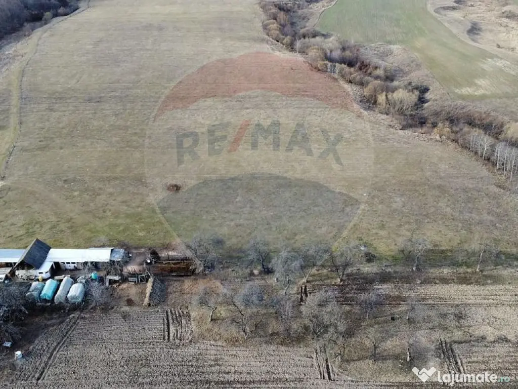 Teren 2925 mp comuna Mitocu Dragomirnei 