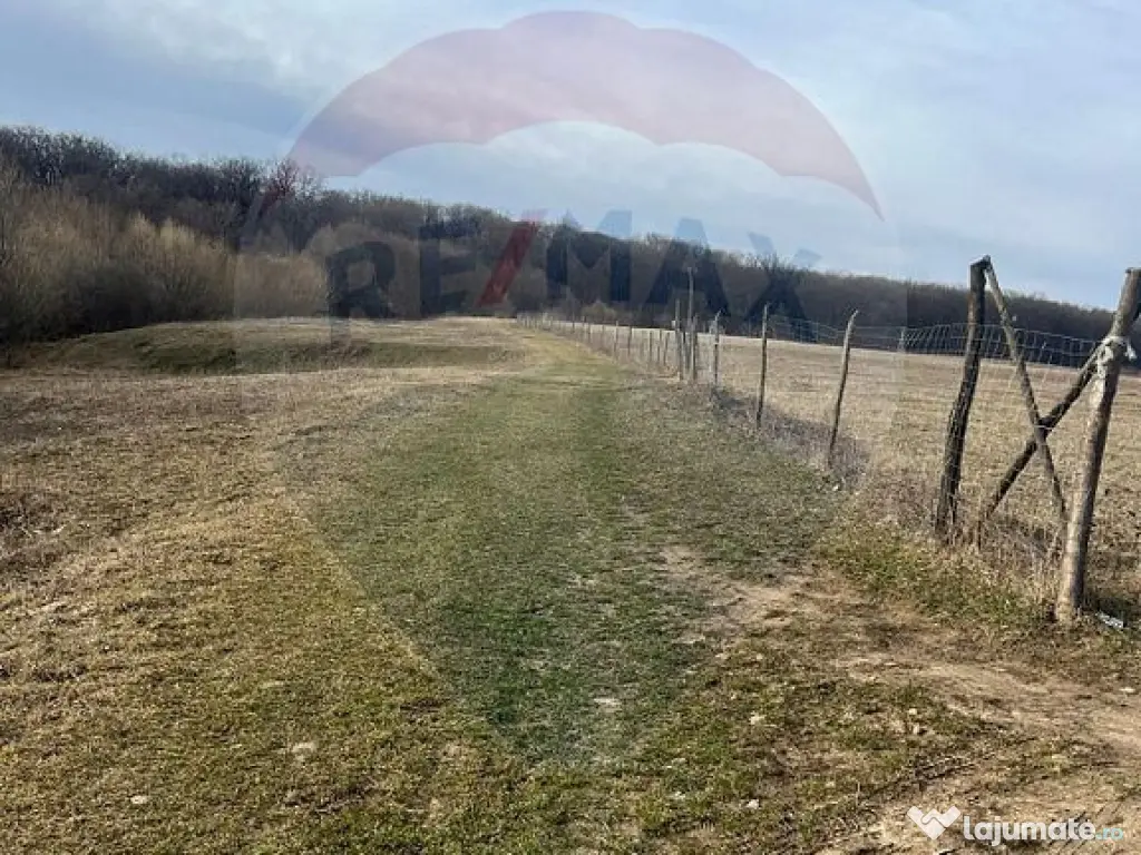 Teren 2925 mp comuna Mitocu Dragomirnei 