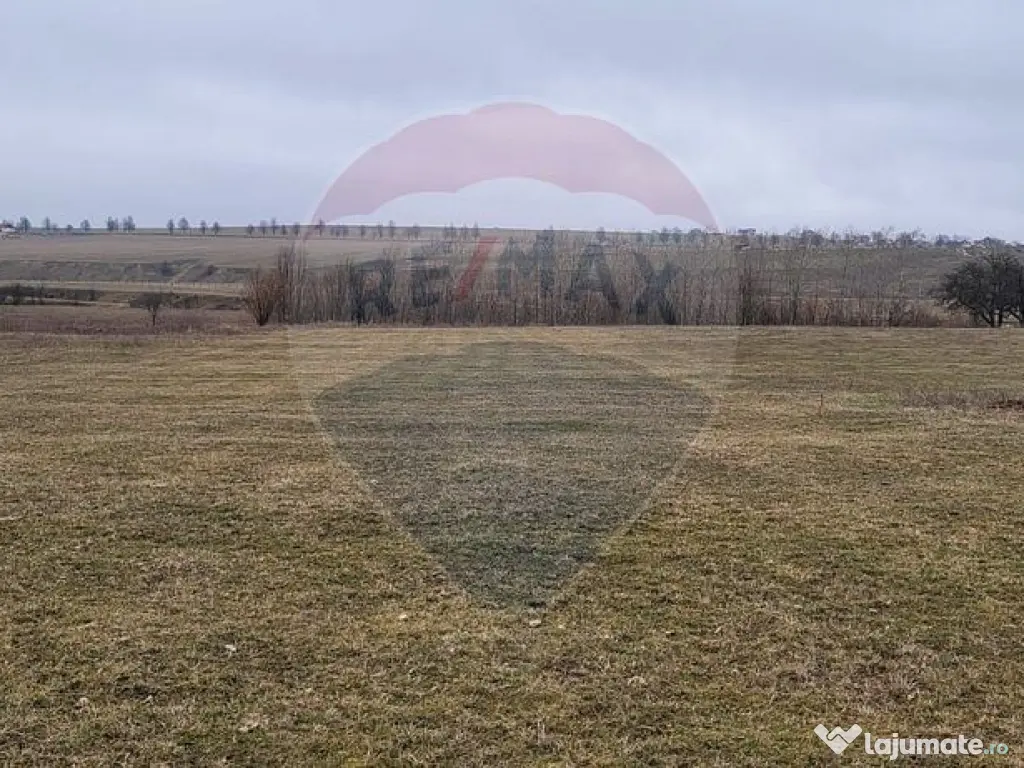 Teren 2925 mp comuna Mitocu Dragomirnei 