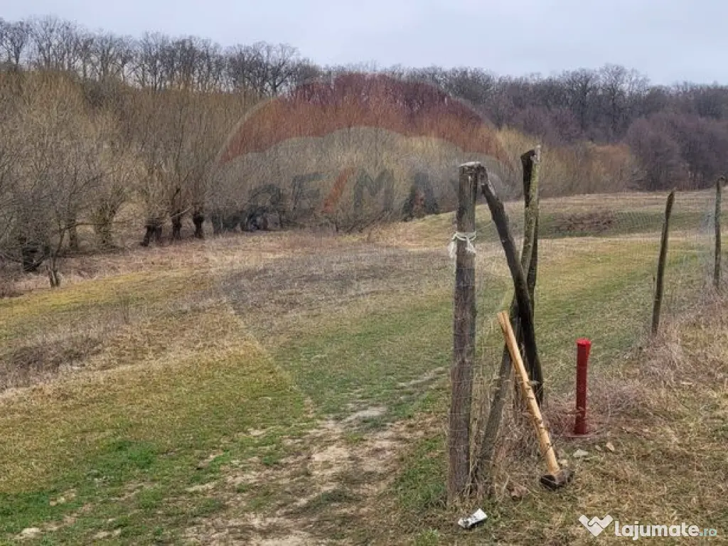 Teren 2925 mp comuna Mitocu Dragomirnei 