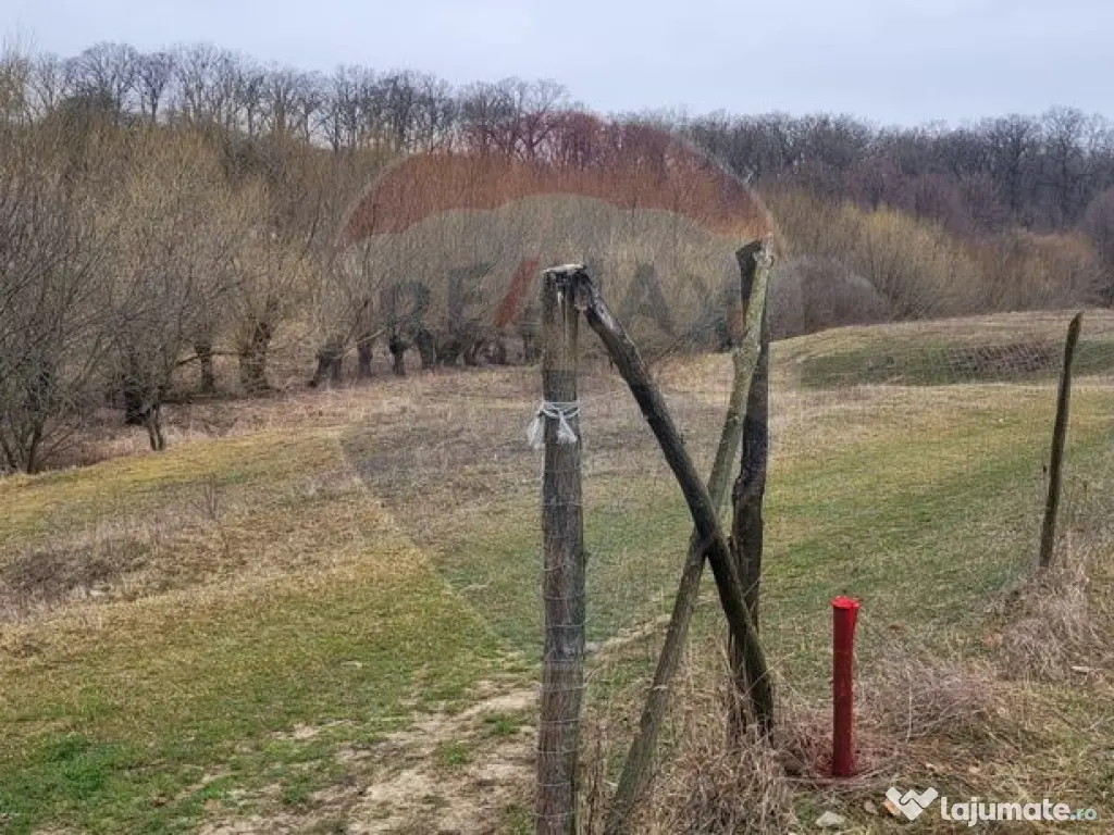 Teren 2925 mp comuna Mitocu Dragomirnei 