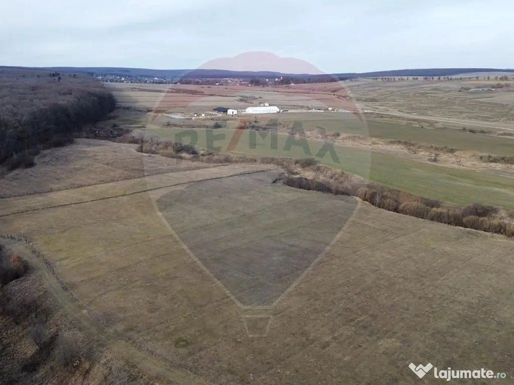 Teren 2925 mp comuna Mitocu Dragomirnei 