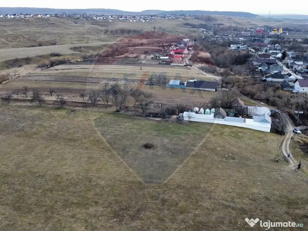 Teren 2925 mp comuna Mitocu Dragomirnei 