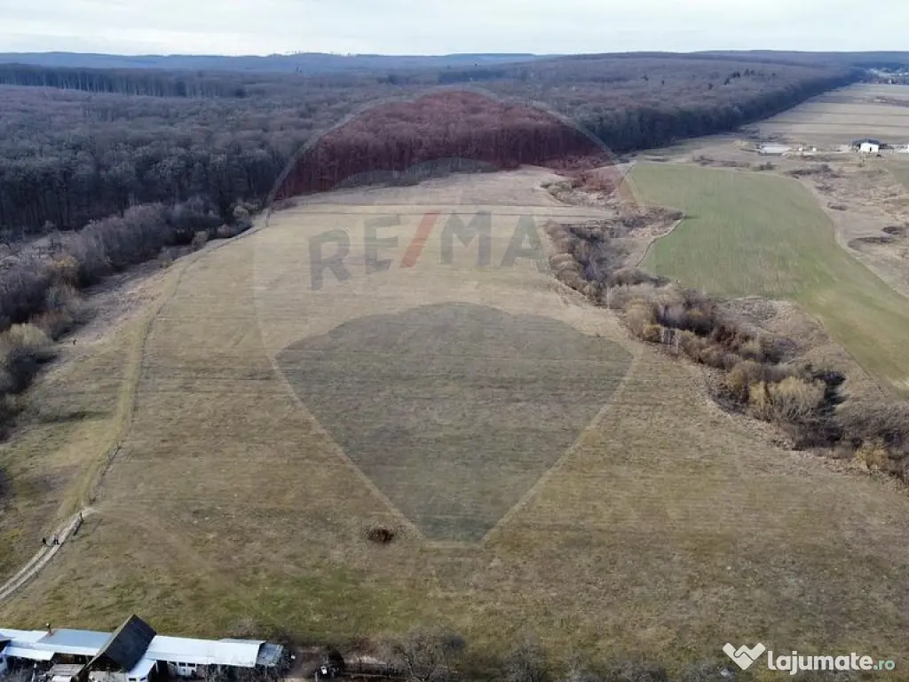 Teren 2925 mp comuna Mitocu Dragomirnei 