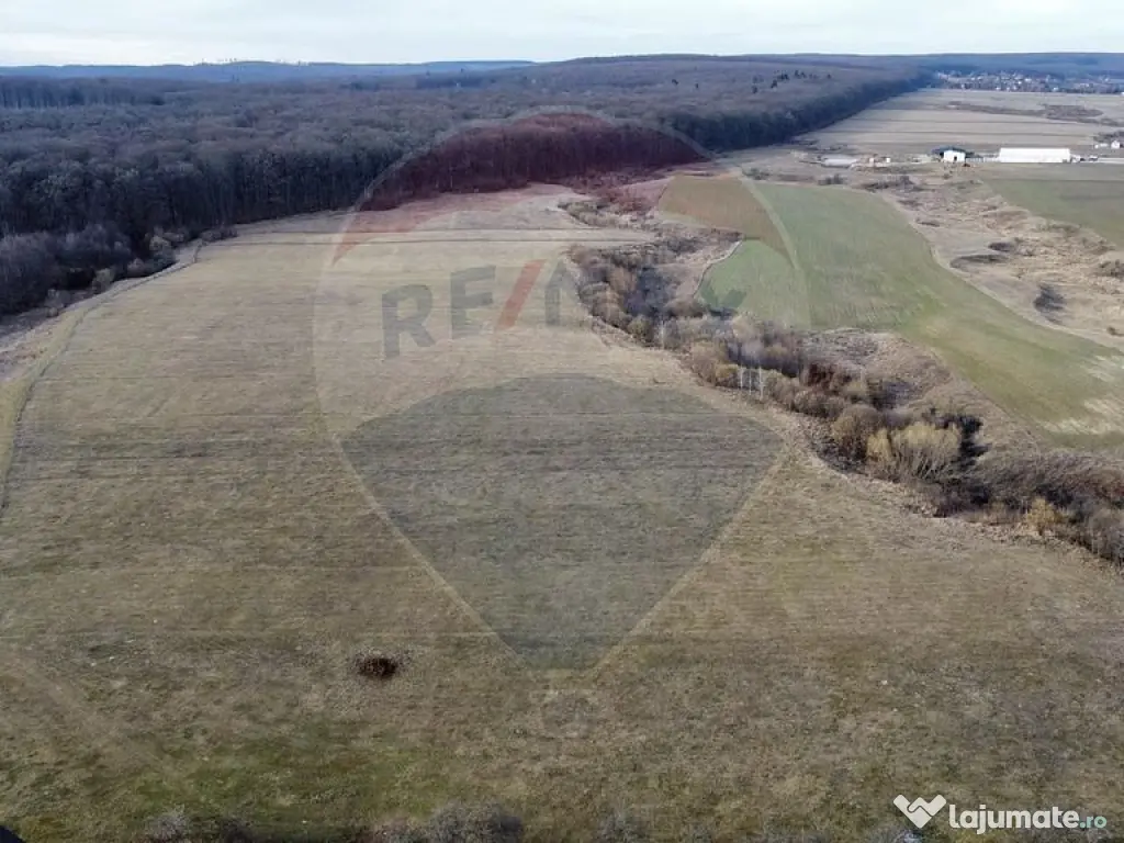 Teren 2925 mp comuna Mitocu Dragomirnei 