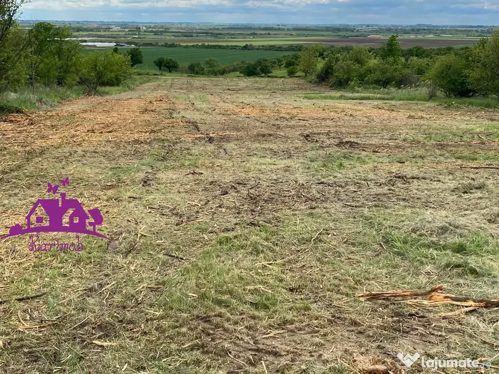 Teren extravilan zona Episcopia 