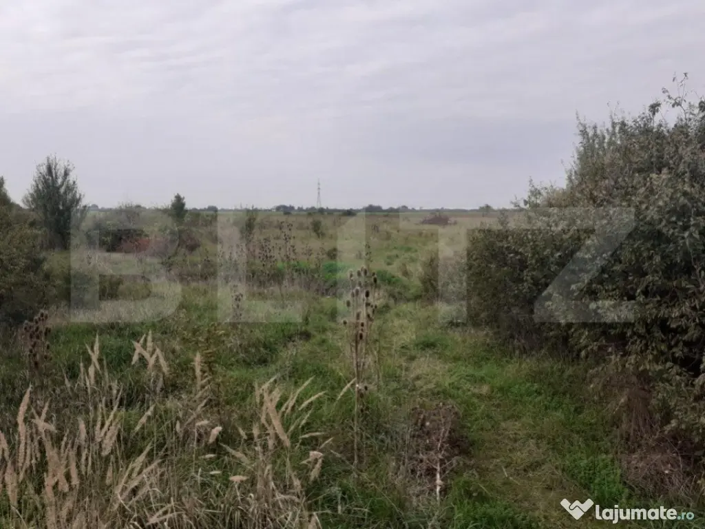 Teren de 39600 mp, PUZ, lângă Staţia de Epurare