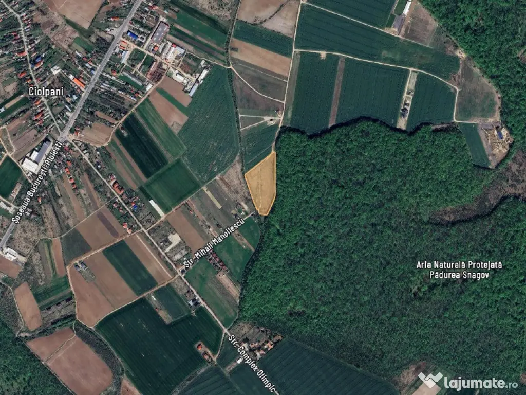 Teren de vanzare,lotizat,Snagov, MEGA DISCOUNT-URI 