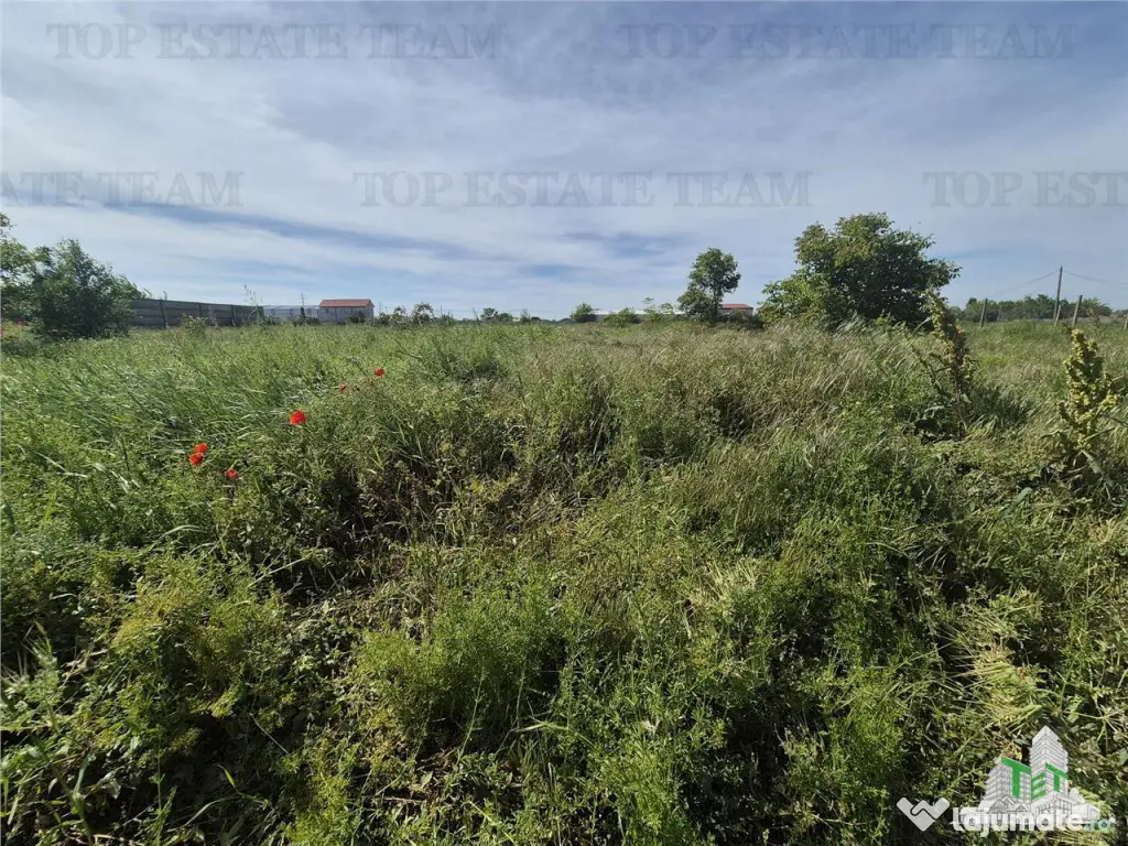 Teren intravilan zona Viile noi-km5