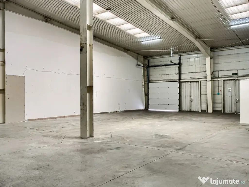 Hala Arad 227 MP