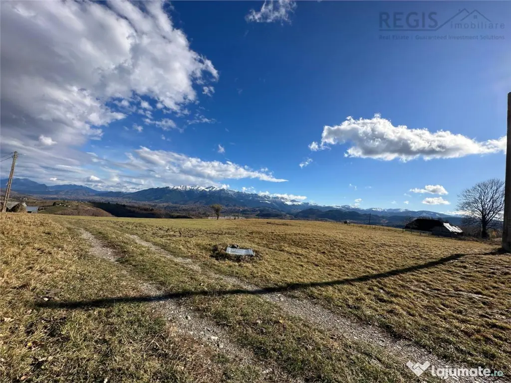 TEREN INTRAVILAN SIRNEA/ 4000 MP/ 