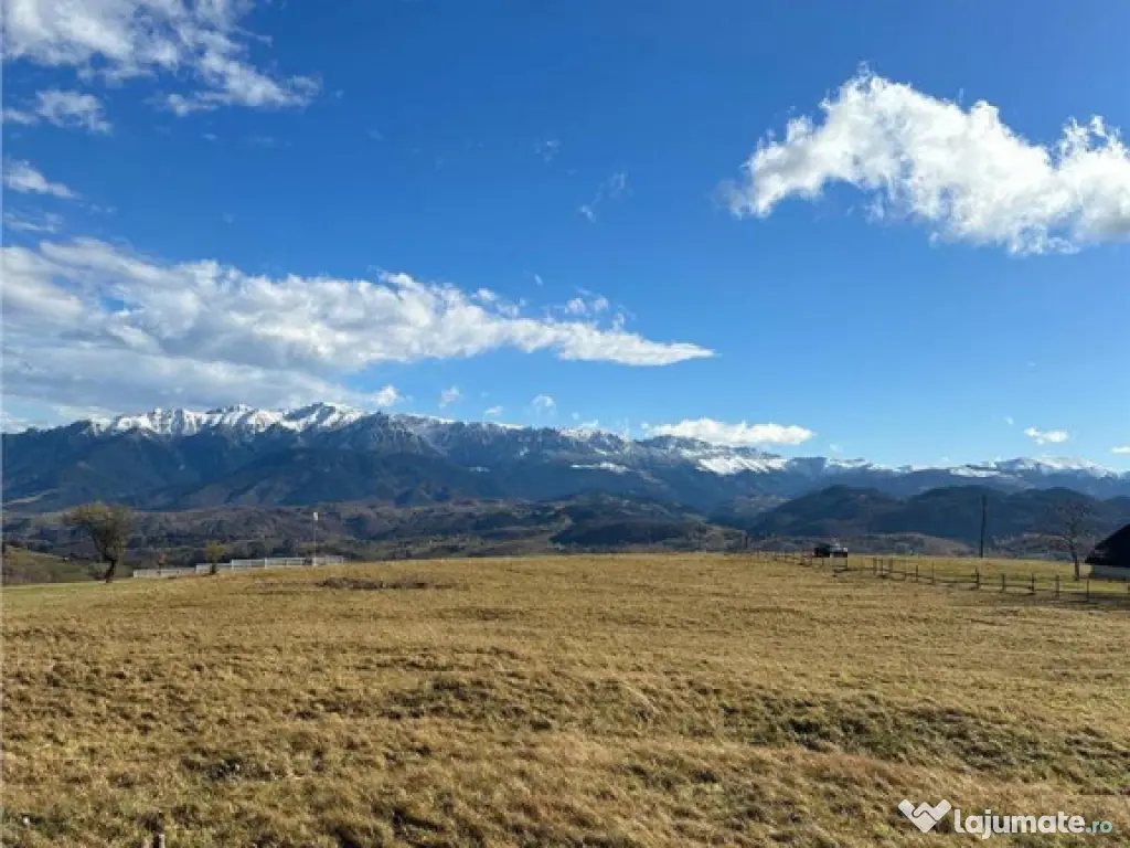 TEREN INTRAVILAN SIRNEA/ 4000 MP/ 