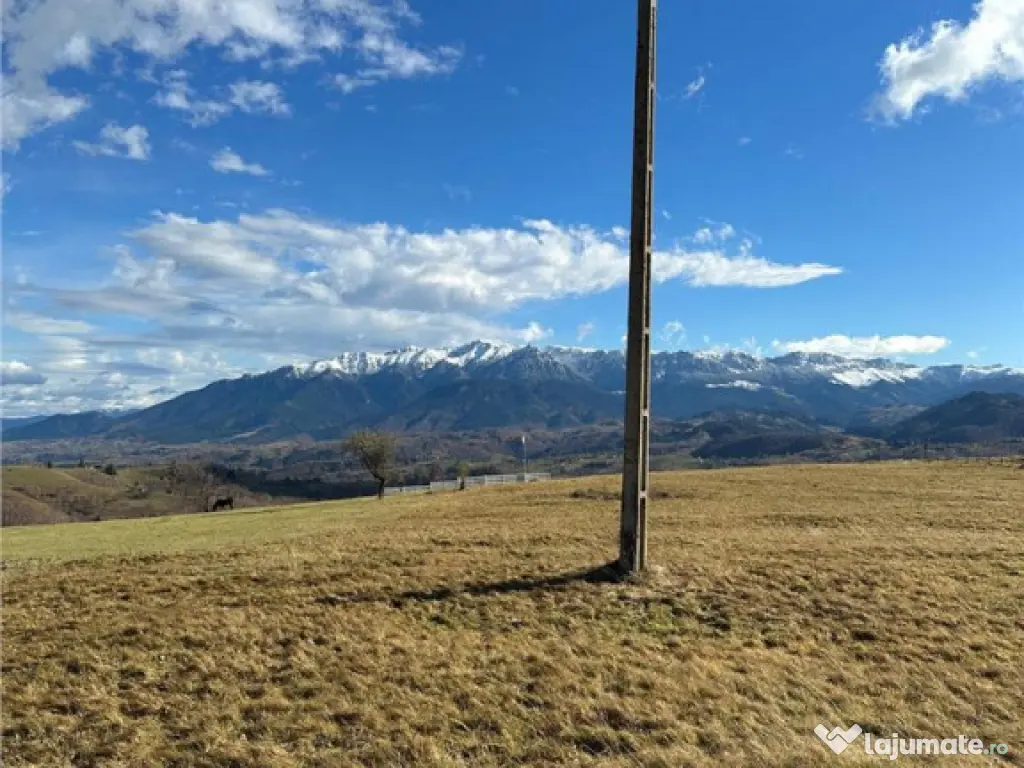 TEREN INTRAVILAN SIRNEA/ 4000 MP/ 