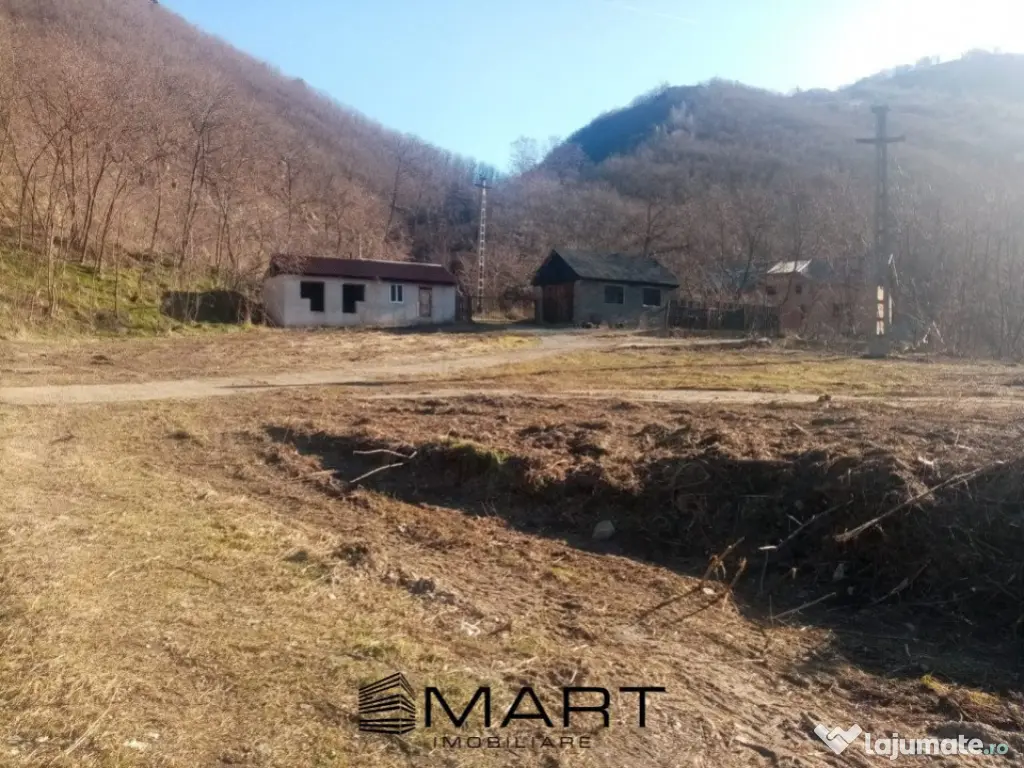 Teren extravilan 7432 mp, cu cabana de lemn Capalna AB