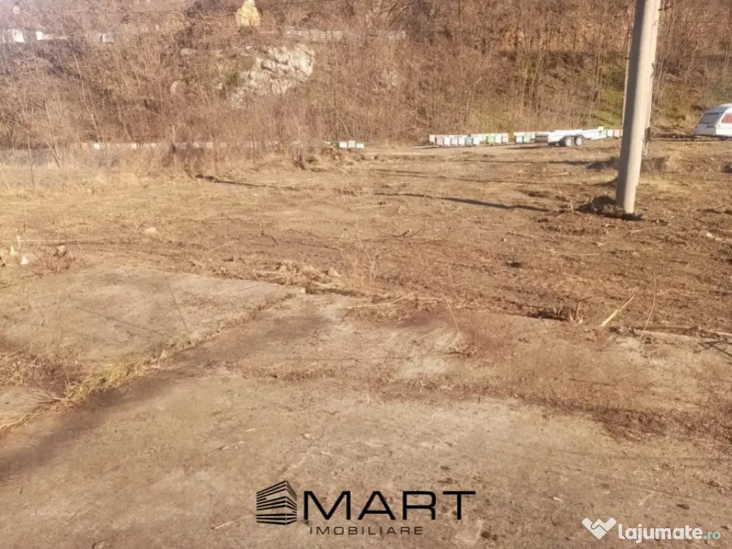 Teren extravilan 7432 mp, cu cabana de lemn Capalna AB