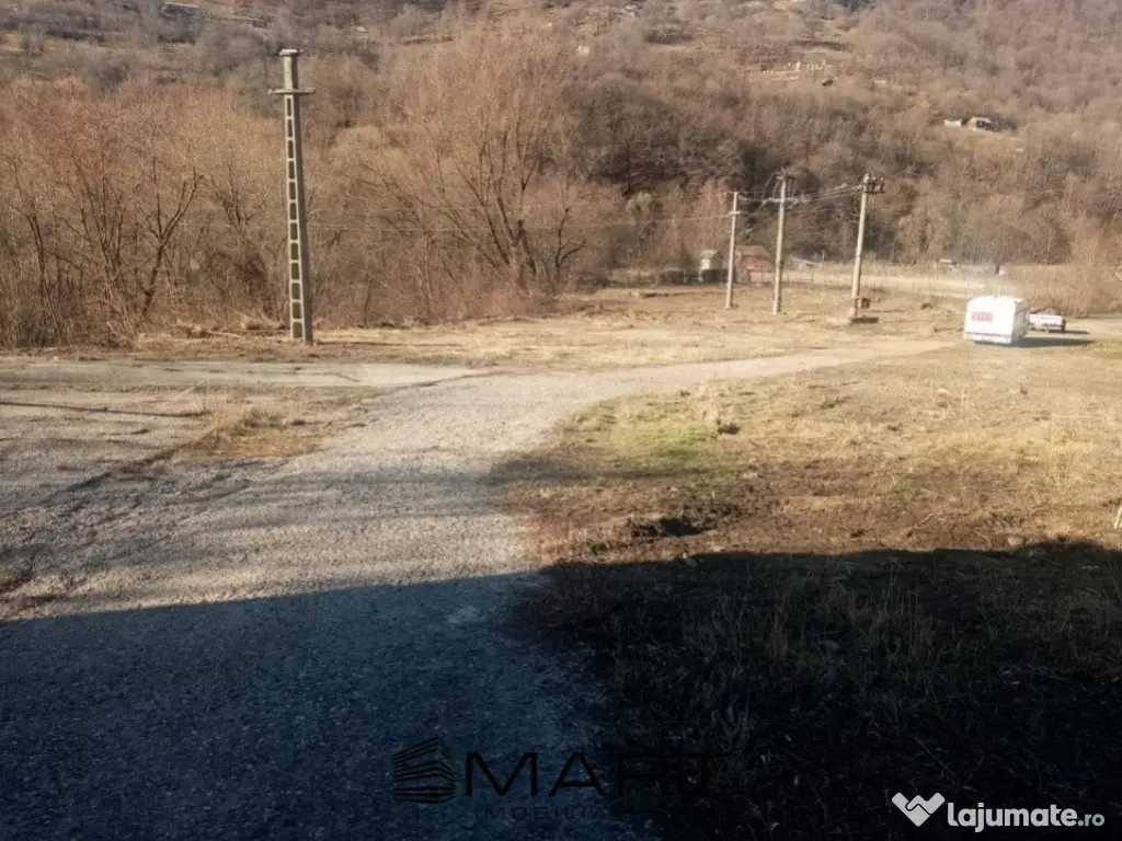 Teren extravilan 7432 mp, cu cabana de lemn Capalna AB