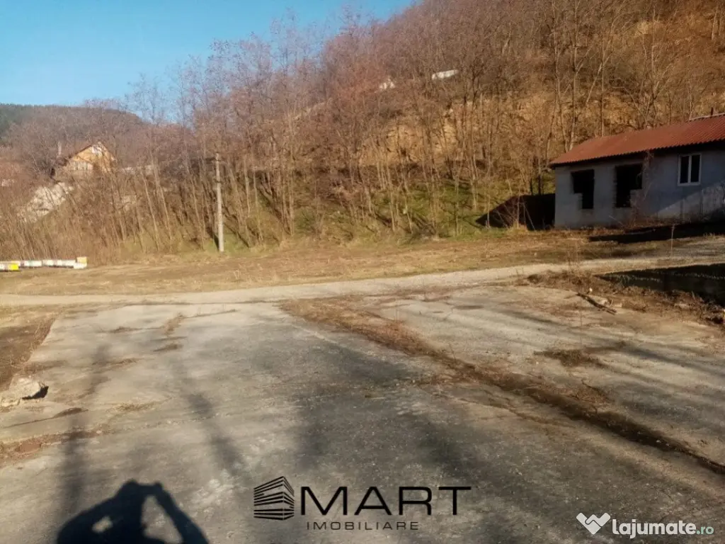 Teren extravilan 7432 mp, cu cabana de lemn Capalna AB