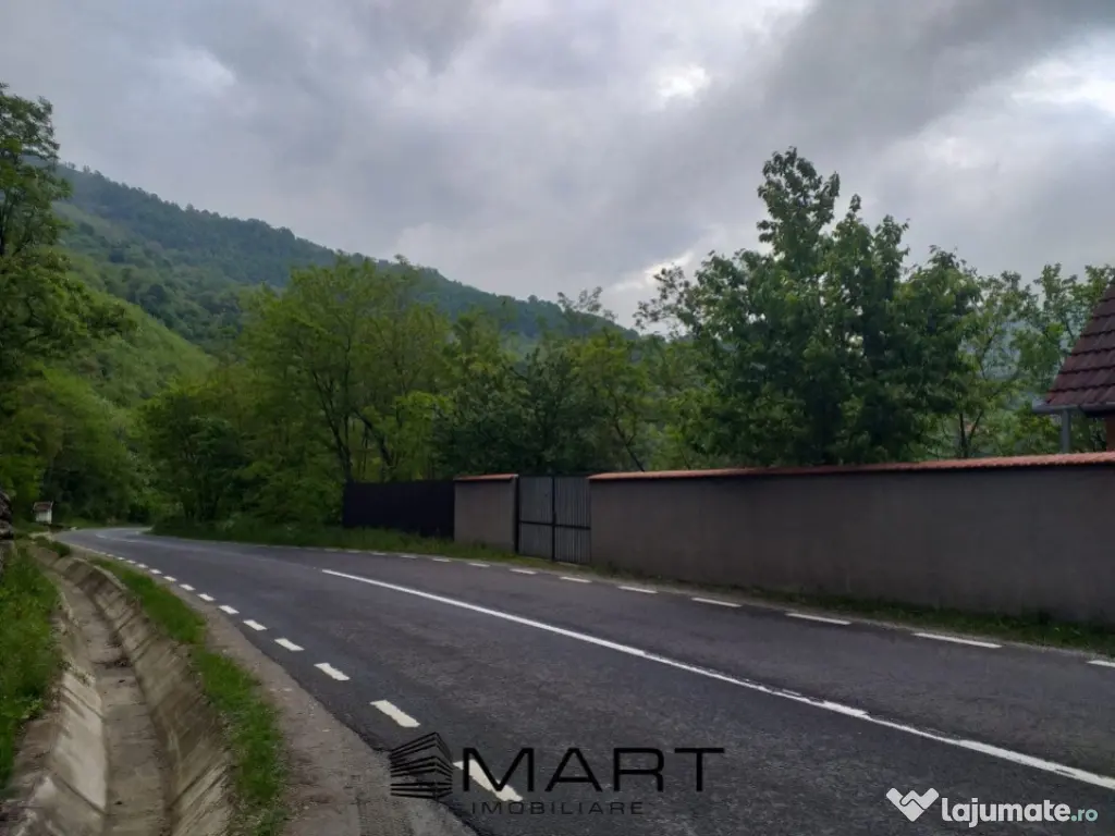 Teren extravilan 7432 mp, cu cabana de lemn Capalna AB