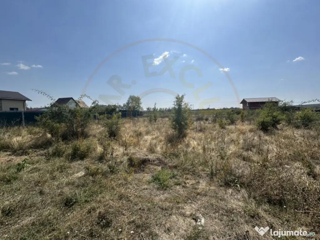 Teren zona Magic Trivale intravilan 1040 mp 