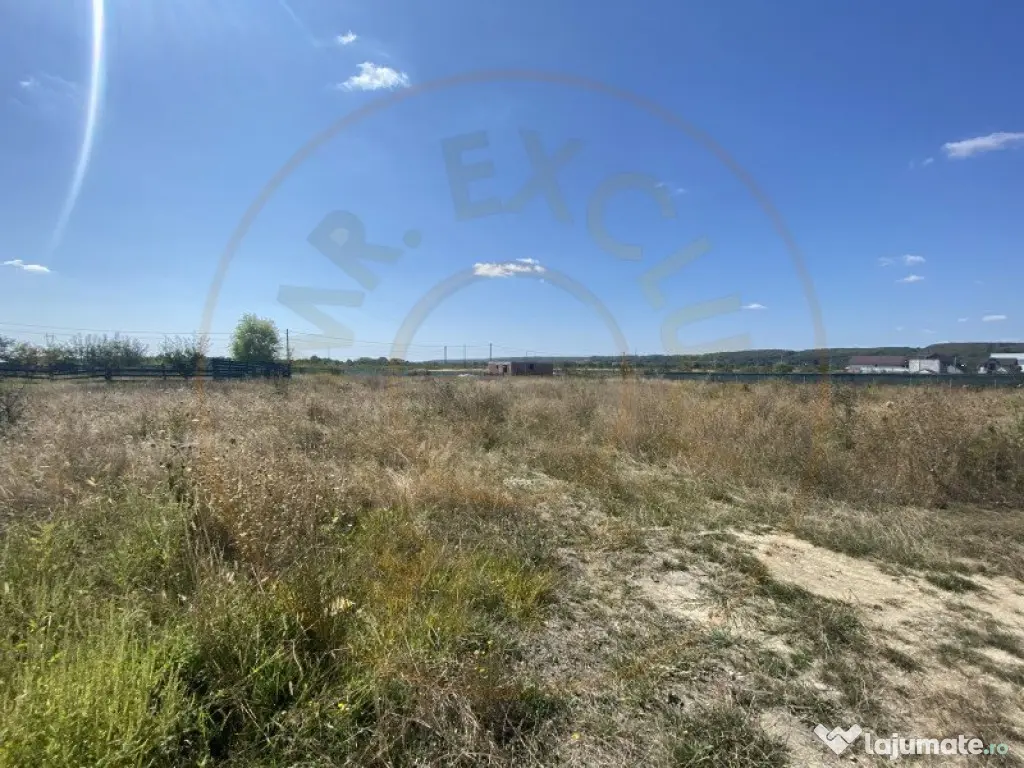 Teren zona Magic Trivale intravilan 1040 mp 