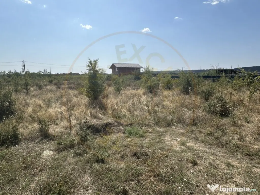 Teren zona Magic Trivale intravilan 1040 mp 