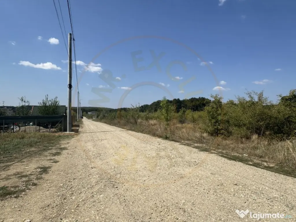 Teren zona Magic Trivale intravilan 1040 mp 