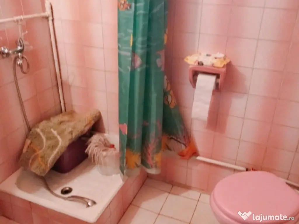 Cabana la Colibita , P+ M -100 mp , 830 mp teren