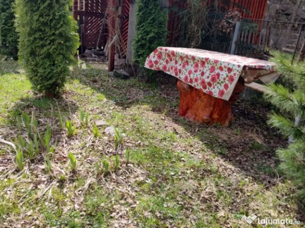 Cabana la Colibita , P+ M -100 mp , 830 mp teren