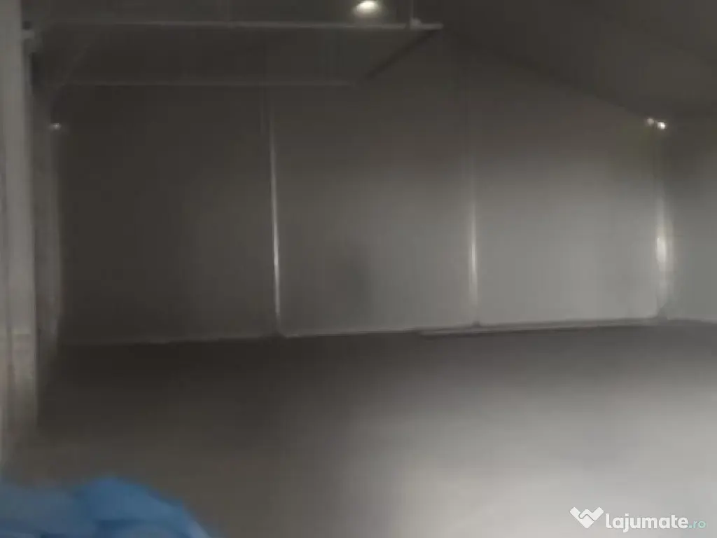 Hala noua 600 mp Giurgiului ( Progresul ) 