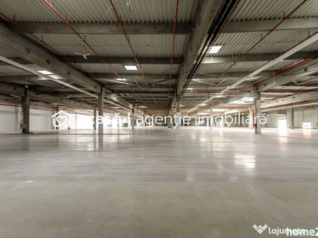 Închiriere spații industriale în Industria Park Arad