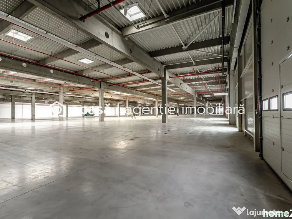 Închiriere spații industriale în Industria Park Arad