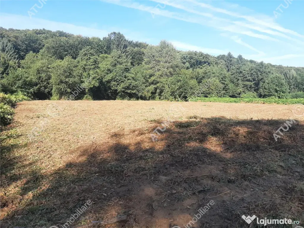 Teren intravilan de 1856 mp in Avrig zona Valea Avrigului 