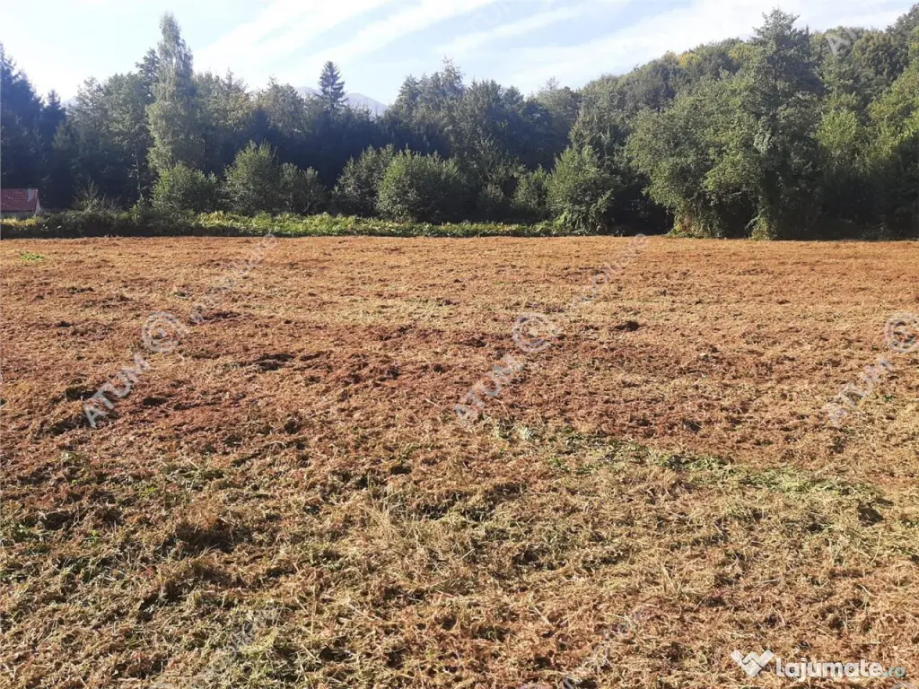 Teren intravilan de 1856 mp in Avrig zona Valea Avrigului 