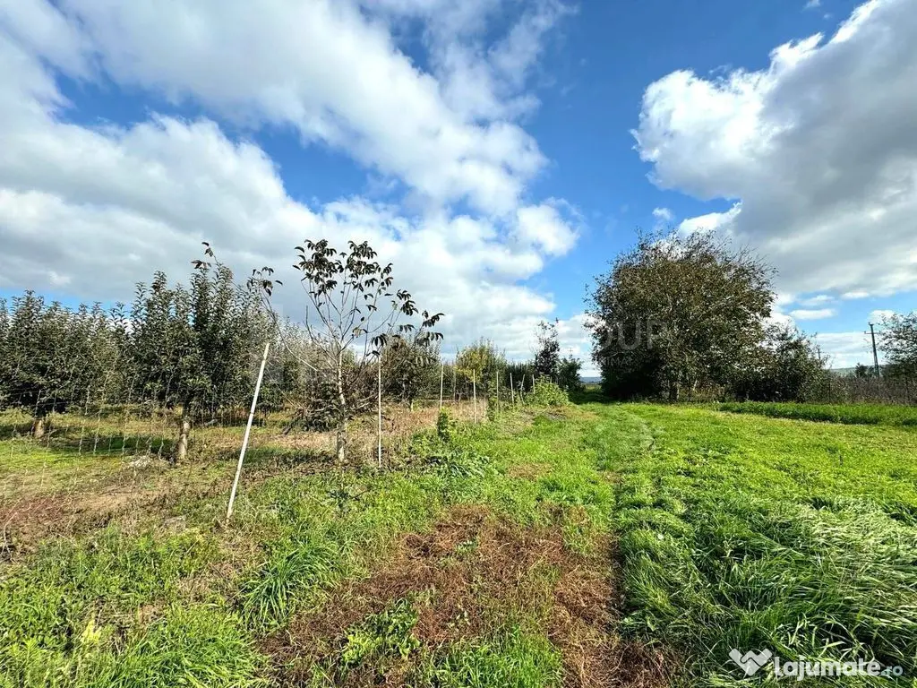 Livada+gradina, teren intravilan 2902mp, Damienesti-Bacau... 