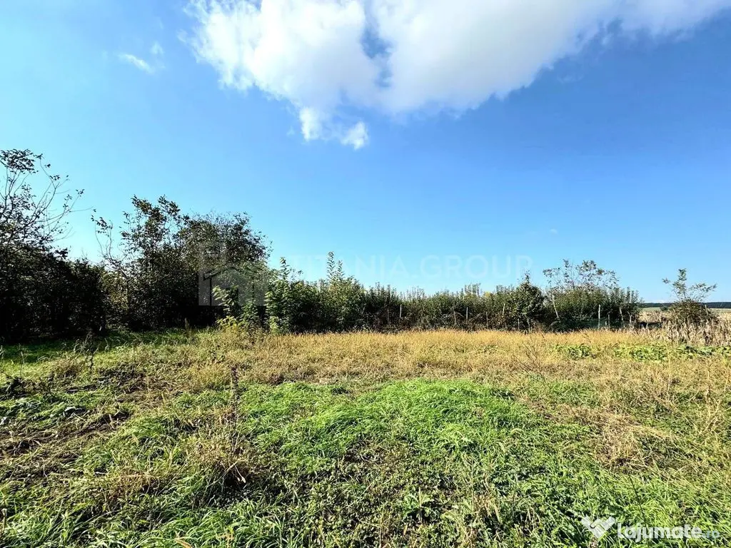 Livada+gradina, teren intravilan 2902mp, Damienesti-Bacau... 