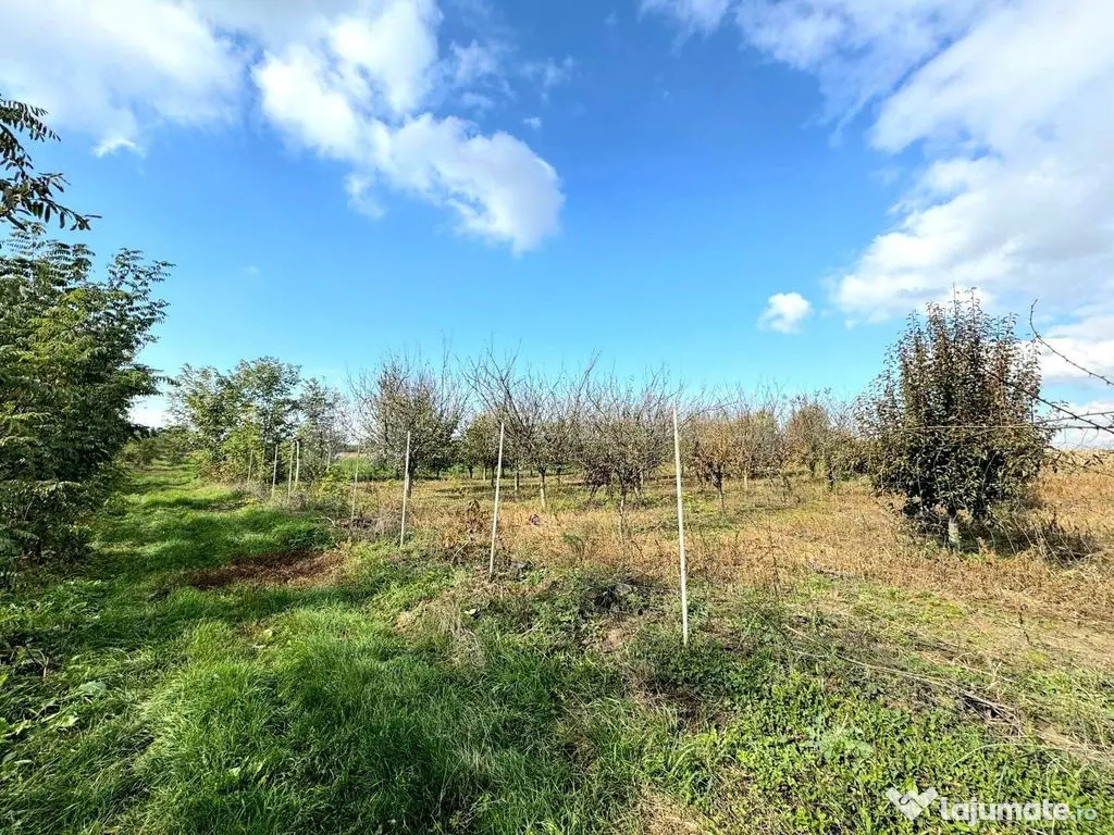 Livada+gradina, teren intravilan 2902mp, Damienesti-Bacau... 