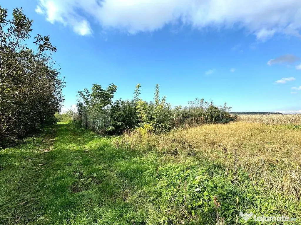 Livada+gradina, teren intravilan 2902mp, Damienesti-Bacau... 