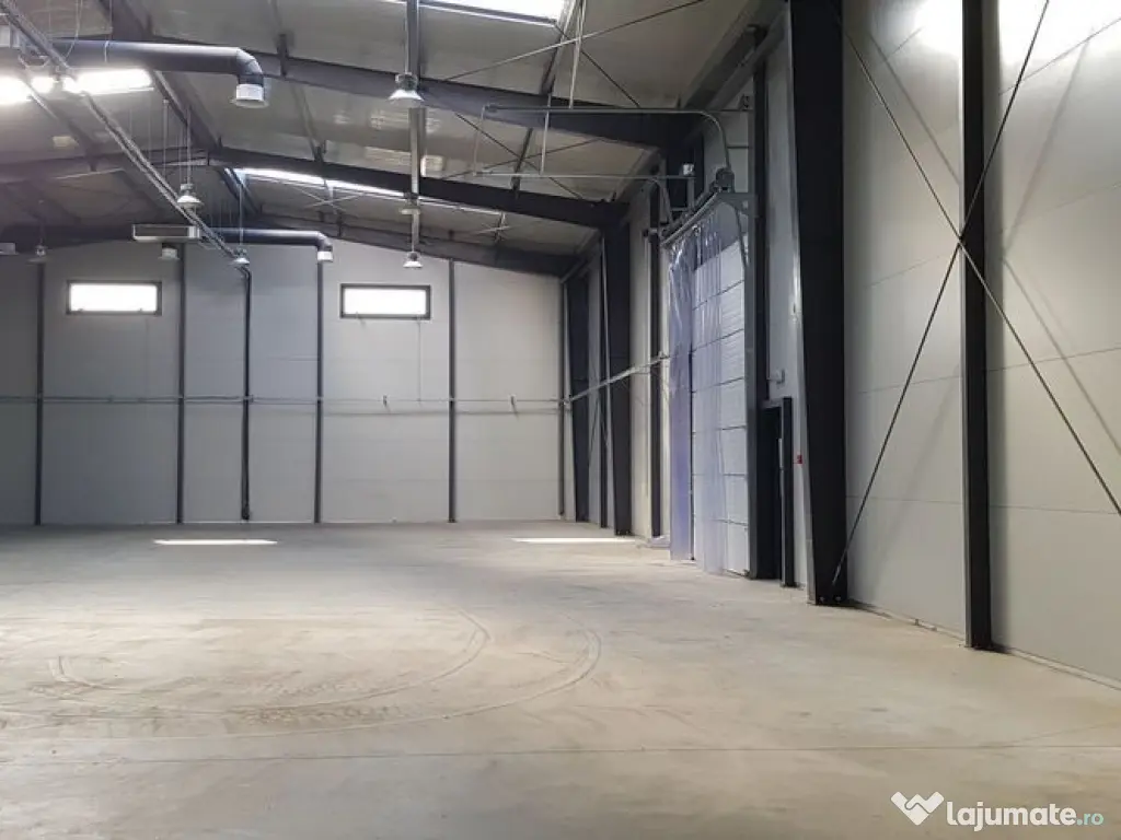 Spatiu de depozitare si productie Mogosoaia 