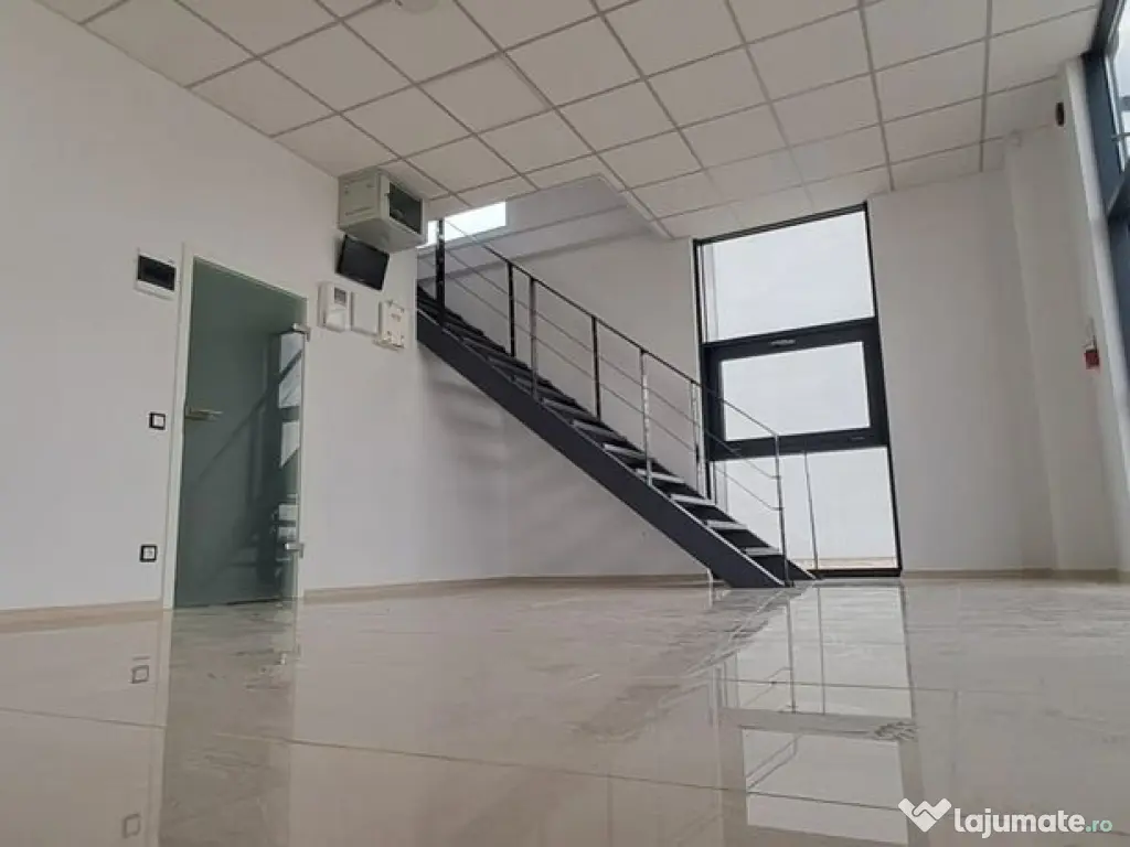 Spatiu de depozitare si productie Mogosoaia 